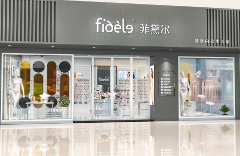 深圳市菲黛尔服装有限公司